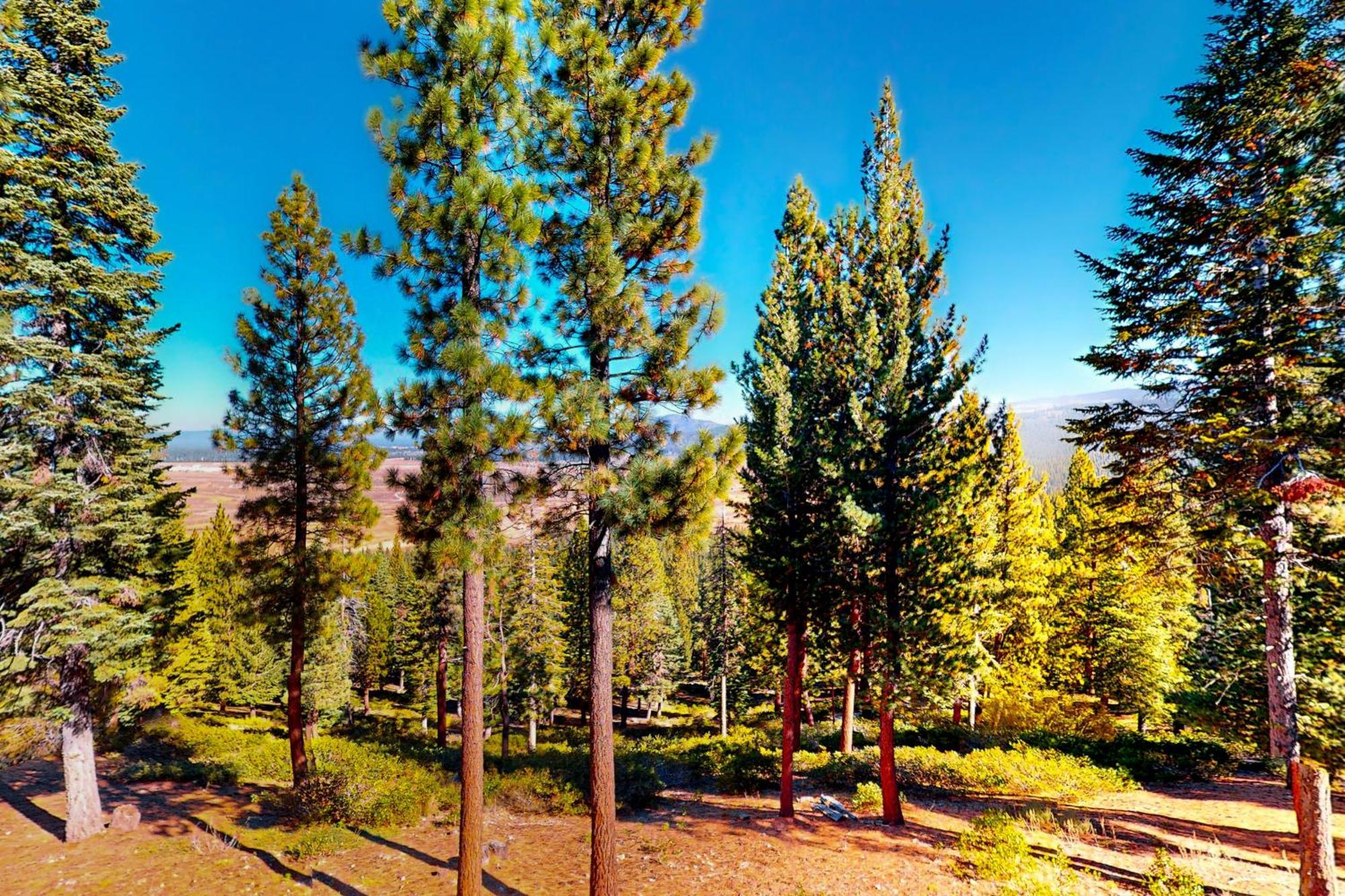 View Condo At Northstar Truckee Buitenkant foto