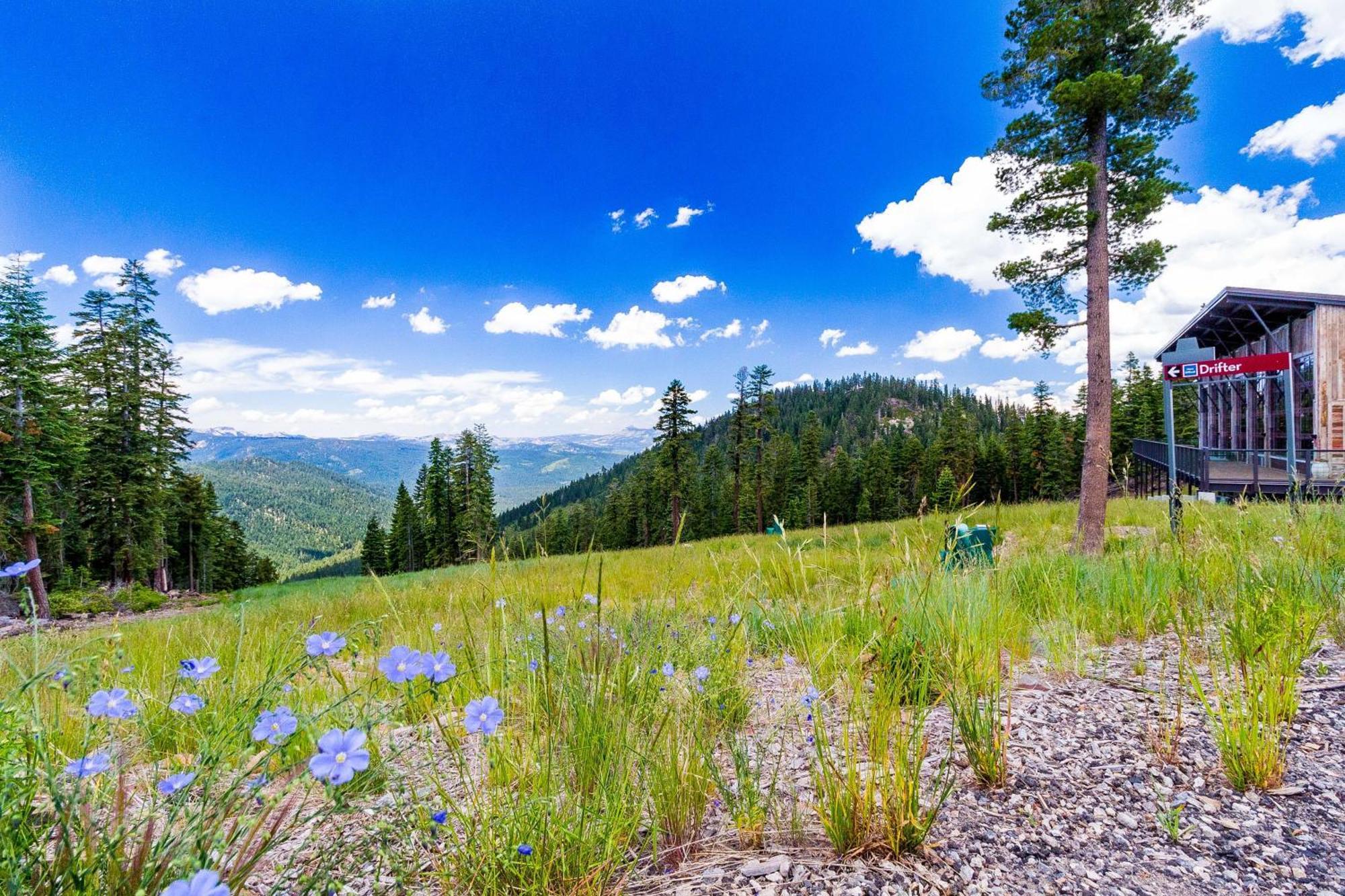 View Condo At Northstar Truckee Buitenkant foto